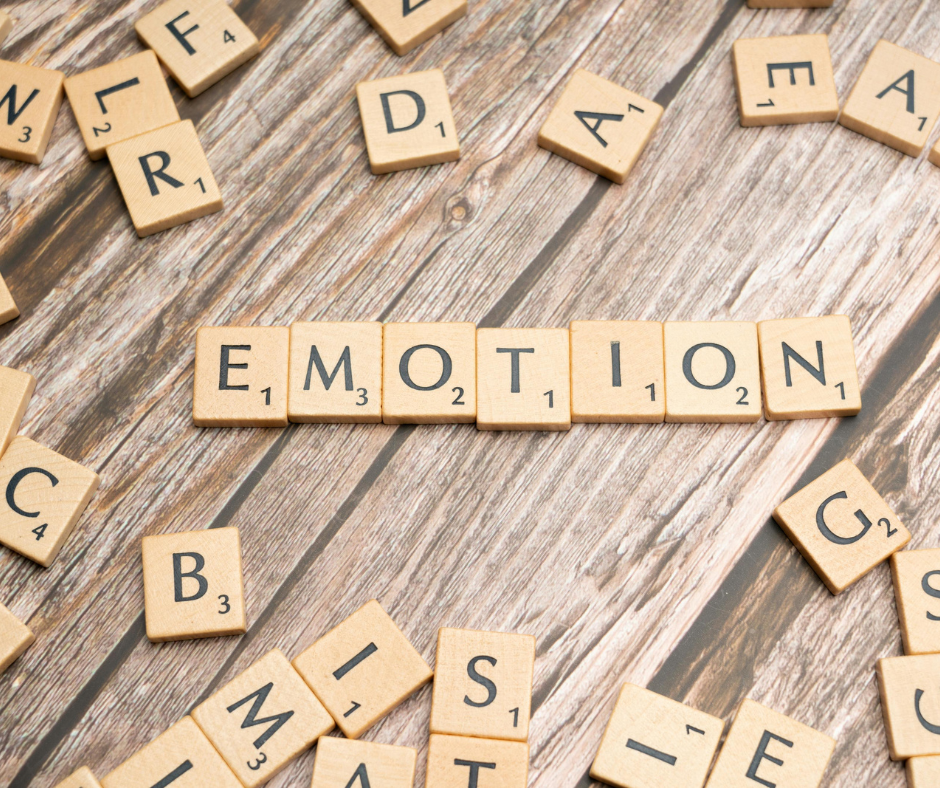 projekt bez nazwy (14)